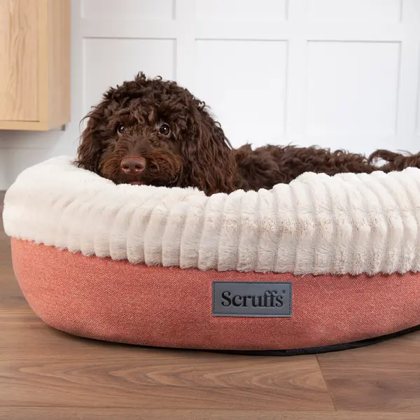 Scruffs Ellen Donut Pet Bed Terracotta