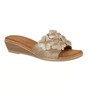 Cipriata Womens/Ladies Clio Flower Wedge Mule Sandal (5 UK) (Light Gold)