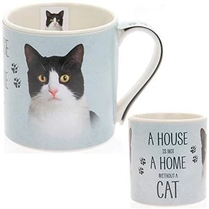 Fine China Black & White Cat Mug By Lesser & Pavey