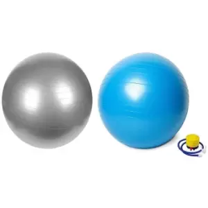 Swiss Gym Ball - 65cm - Vector X