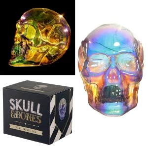 Metallic Iridescent Skull Decorative LED Light