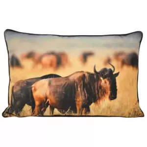 Paoletti Wildebeest Polyester Filled Cushion Tan