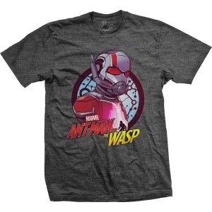 Marvel Comics - Ant Man & The Wasp Circle Comp. Unisex X-Large T-Shirt - Grey