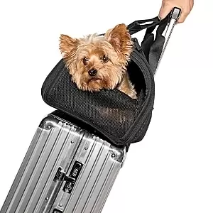 Wild One Travel Pet Carrier