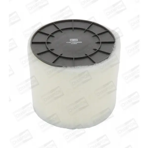 Champion V489 CAF100489R Air Filter Insert