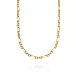 Daisy London 18ct Gold Plate Magnus Chain Necklace 18ct Gold Plate