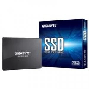 Gigabyte 256GB SSD Drive