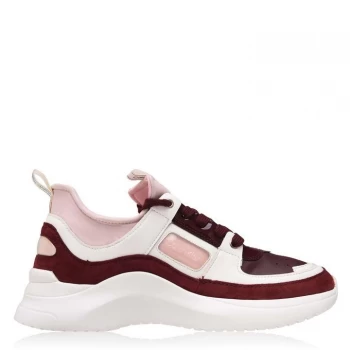 Calvin Klein Trainers - Bordeaux/Pink