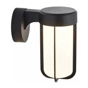 Loops - Matt Black Outdoor Wall Light & Frosted Glass Shade IP44 Rated 8W LED Module