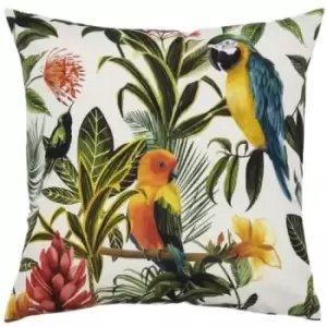 Evans Lichfield Parrot Outdoor Cushion Cover (One Size) (Teal/Multicoloured)