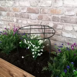 Tom Chambers Urban Dark Green Metal Herbaceous Garden Plant Support Grow Through Medium 50cm x 30cm