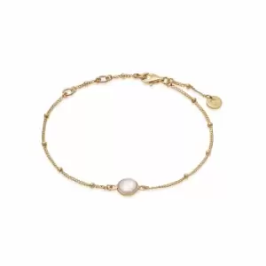 Daisy London Jewellery 18ct Gold Plated Sterling Silver Rose Quartz Healing Stone Bobble Bracelet 18Ct Gold Plate