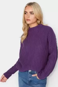 Petite Turtle Neck Jumper