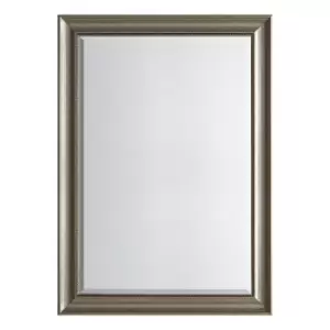 Pesaro Mirror 74 x 104cm Antique Silver Silver