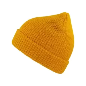 Atlantis Woolly Wool Blend Beanie (One Size) (Yellow)