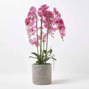 Pink Orchid 82cm Phalaenopsis in Cement Pot Extra Large, 4 Stems - Pink - Homescapes