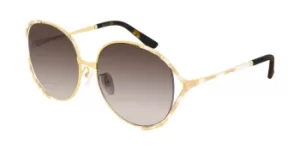 Gucci Sunglasses GG0595S 004