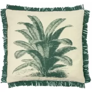 Paoletti Ecuador Cushion Cover (One Size) (Natural/Emerald Green) - Natural/Emerald Green