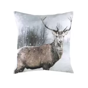 Evans Lichfield Photo Stag Cushion Cover (43cm x 43cm) (Multicoloured)