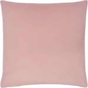 Evans Lichfield Sunningdale Plush Cushion Cover, Powder, 50 x 50 Cm