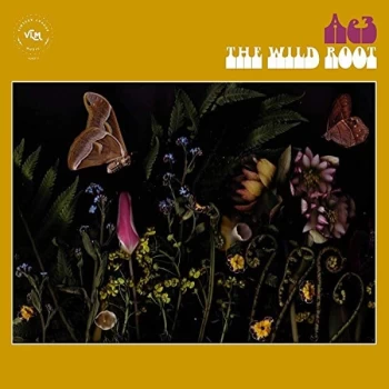 Ae3 (Alan Evans Trio) - The Wild Root Vinyl