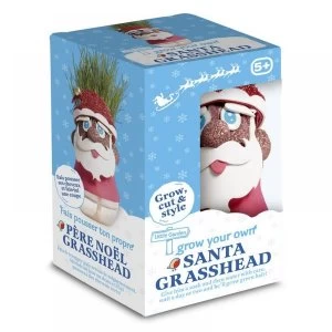 Santa Grass Head Toy