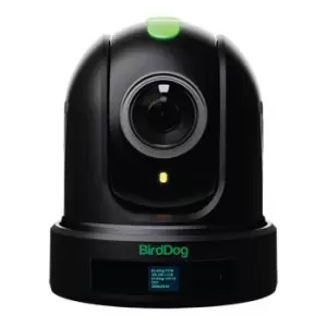 BirdDog P110 NDI PTZ Camera (Black)