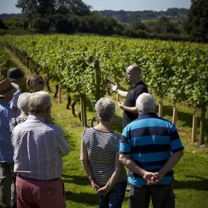 Red Letter Days Garden of England Vineyard Escape for Two