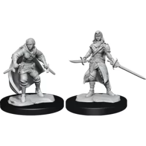 D&D Nolzur's Marvelous Unpainted Miniatures (W14) Half-Elf Rogue Female