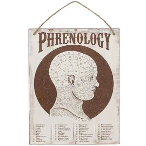 Phrenology Wall Sign