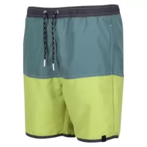 Regatta Benicio Swim Short - SeaPne/GrnAl