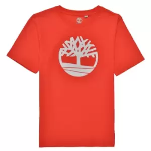 Timberland LOLLA boys's Childrens T shirt in Red. Sizes available:14 years,16 years