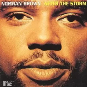 After The Storm by Norman Brown CD Album