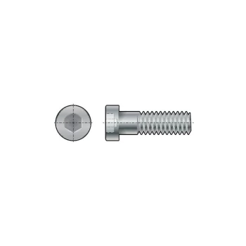 M10X30 Skt Low Head Cap Screw (GR-8.8)- you get 10 - Qualfast