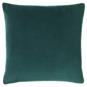 Cohen Velvet Cushion Teal