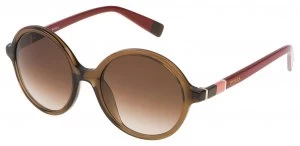 Furla Shiny Translucent Brown Brown Lens Sunglasses.