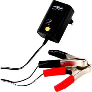 Ansmann ALCS2-12 0.4 1001-0015 Mains charger 6 V, 2 V, 12 V 0.4 A