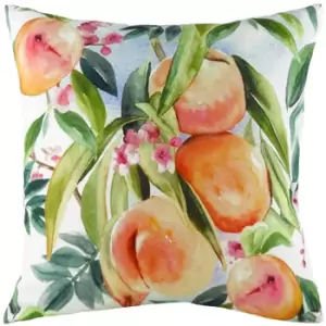 Fruit Peaches Printed Cushion Multicolour, Multicolour / 43 x 43cm / Polyester Filled