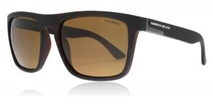 North Beach Palometa Sunglasses Tort Tortoise Polarised 55mm