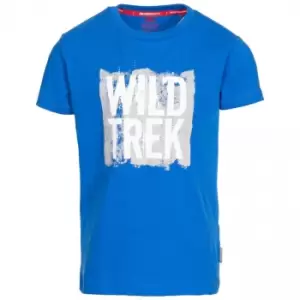 Trespass Childrens Boys Zealous T-Shirt (5-6 Years) (Blue)