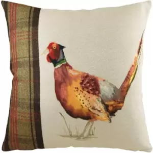 Evans Lichfield - Hunter Pheasant Square Cushion Multicolour - Multicolour