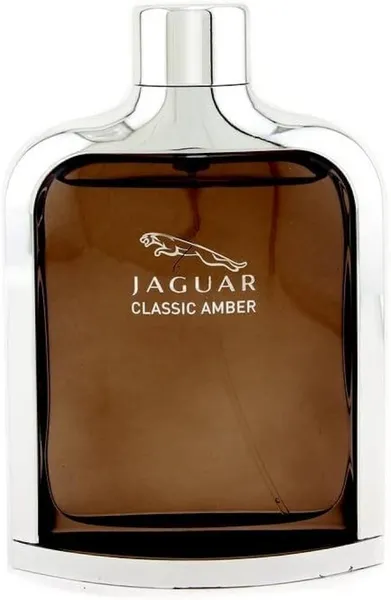 Jaguar Classic Amber Eau de Toilette For Him 100ml