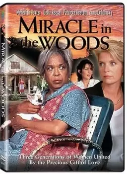 Miracle in the Woods - DVD - Used