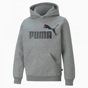 PUMA Essentials Big Logo Youth Hoodie, Medium Grey Heather, size 13-14 Youth, Clothing