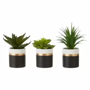 Interiors By Ph Set Of 3 Faux Succulents Lotus/Aloe Vera/ Ceramic Pot Black/Gold