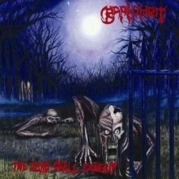 Baphomet - The Dead Shall Inherit CD