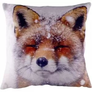 Evans Lichfield Fox Portrait Cushion Cover (One Size) (Multicoloured) - Multicoloured