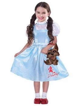 Childrens Dorothy Costume