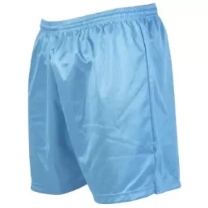 Precision Unisex Adult Micro-Stripe Football Shorts (M-L) (Sky Blue)