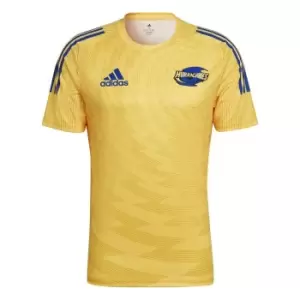 adidas Hurricanes Rugby T Shirt Mens - Yellow